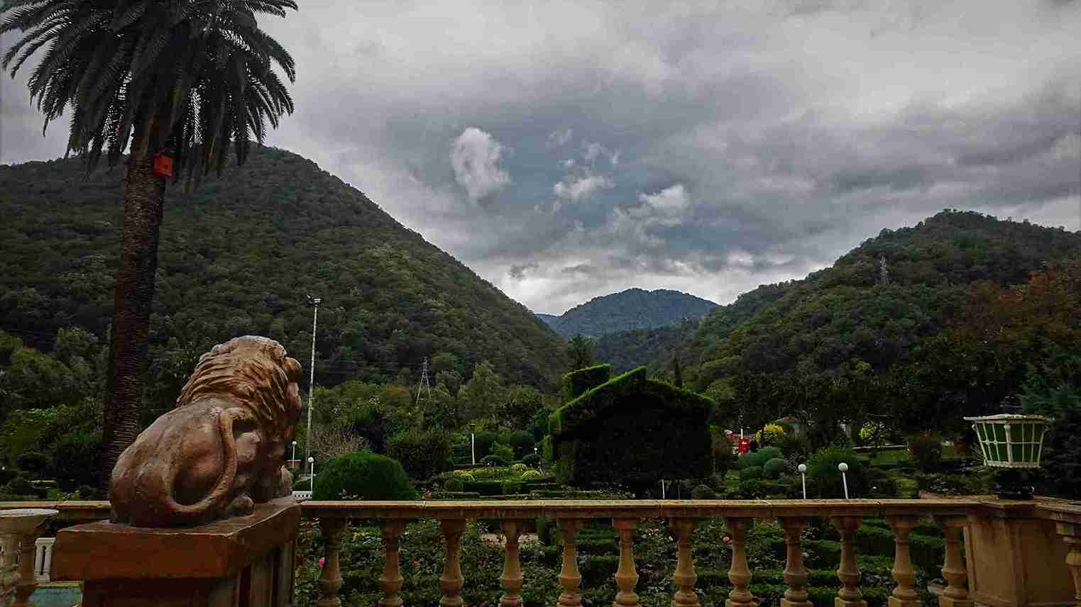 جنگل های رامسر