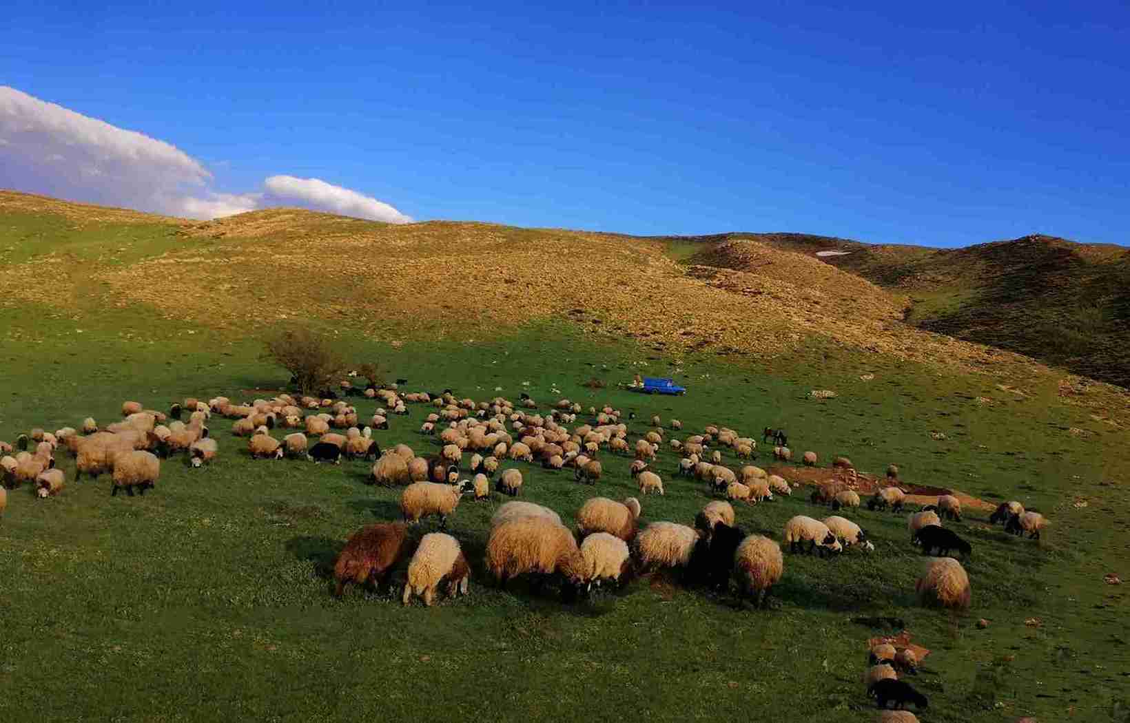 ییلاق سیلوانا؛ از جاهای دیدنی ارومیه