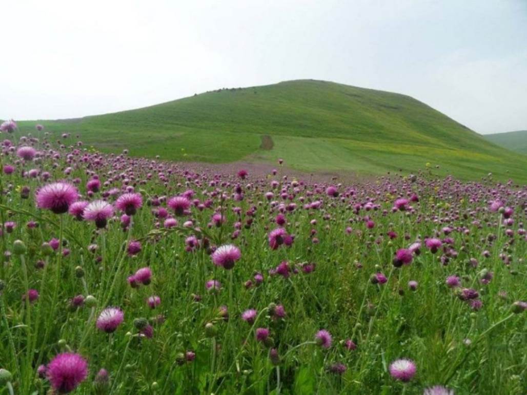 بهترین زمان سفر به اردبیل و دشت مغان