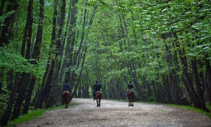 بهترین زمان سفر به چالوس؛ کی بریم که خلوت باشه ؟