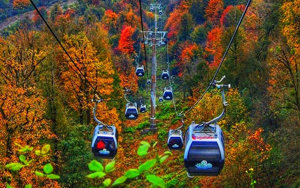 جاهای دیدنی چالوس؛ از سبز جنگل تا آبی دریا!