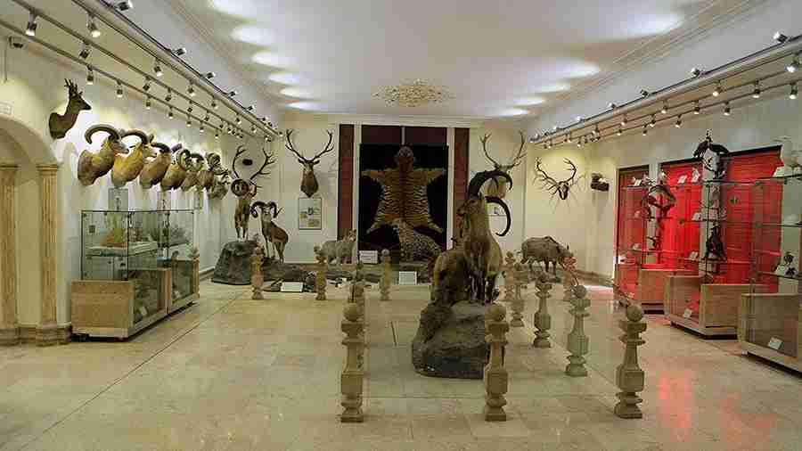 موزه های اردبیل؛ از موزه چینی خانه تا صارم السلطنه