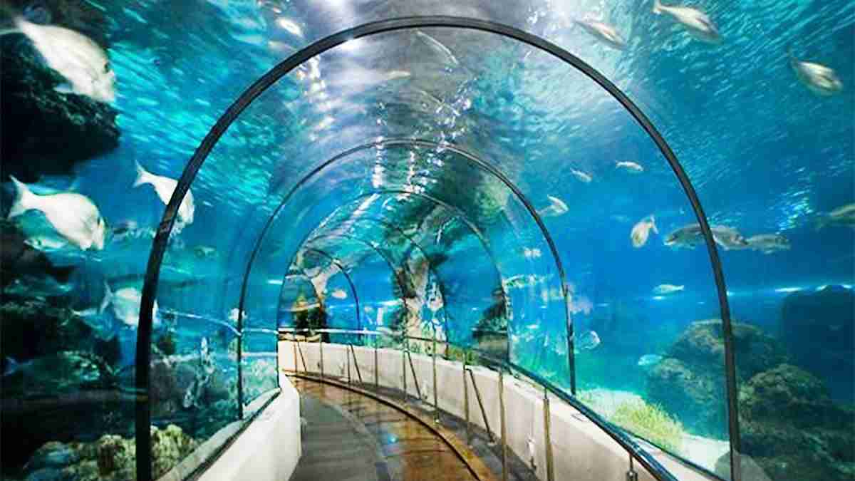 آکواریوم بندر انزلی