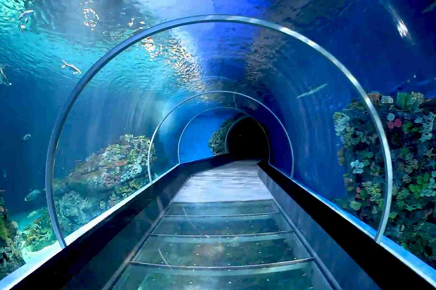 راهنمای سفر به انزلی؛ آکواریوم بندر انزلی