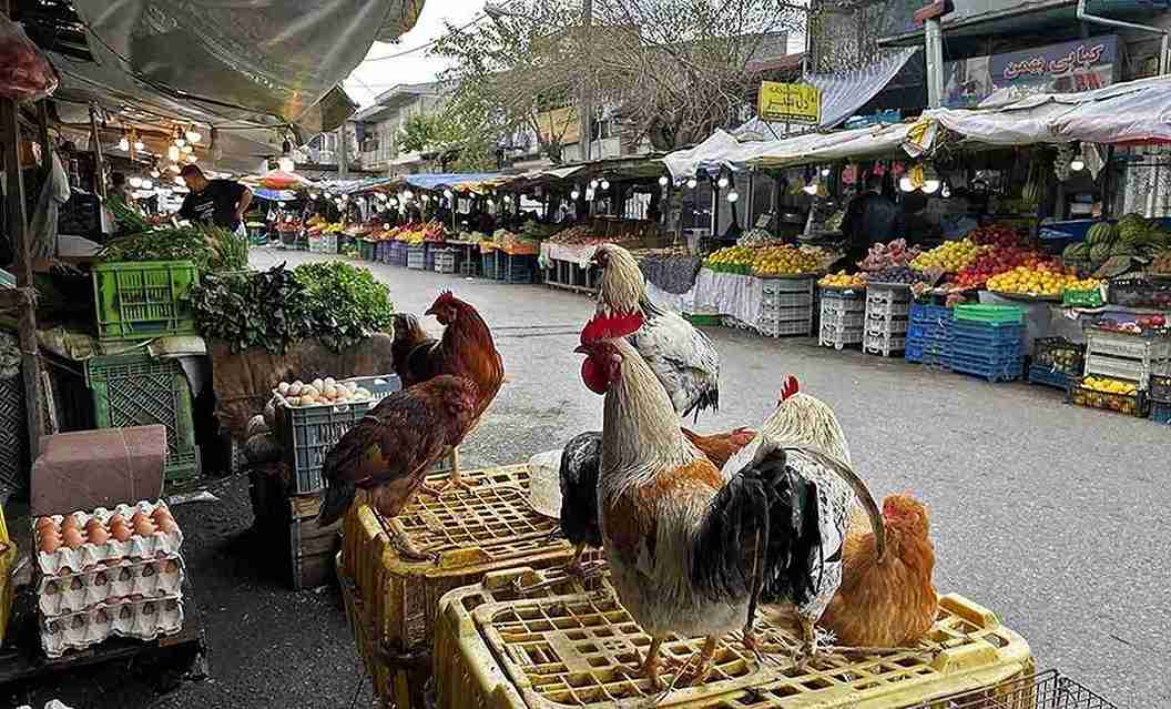 راهنمای سفر به انزلی؛ بازارها و سوغات