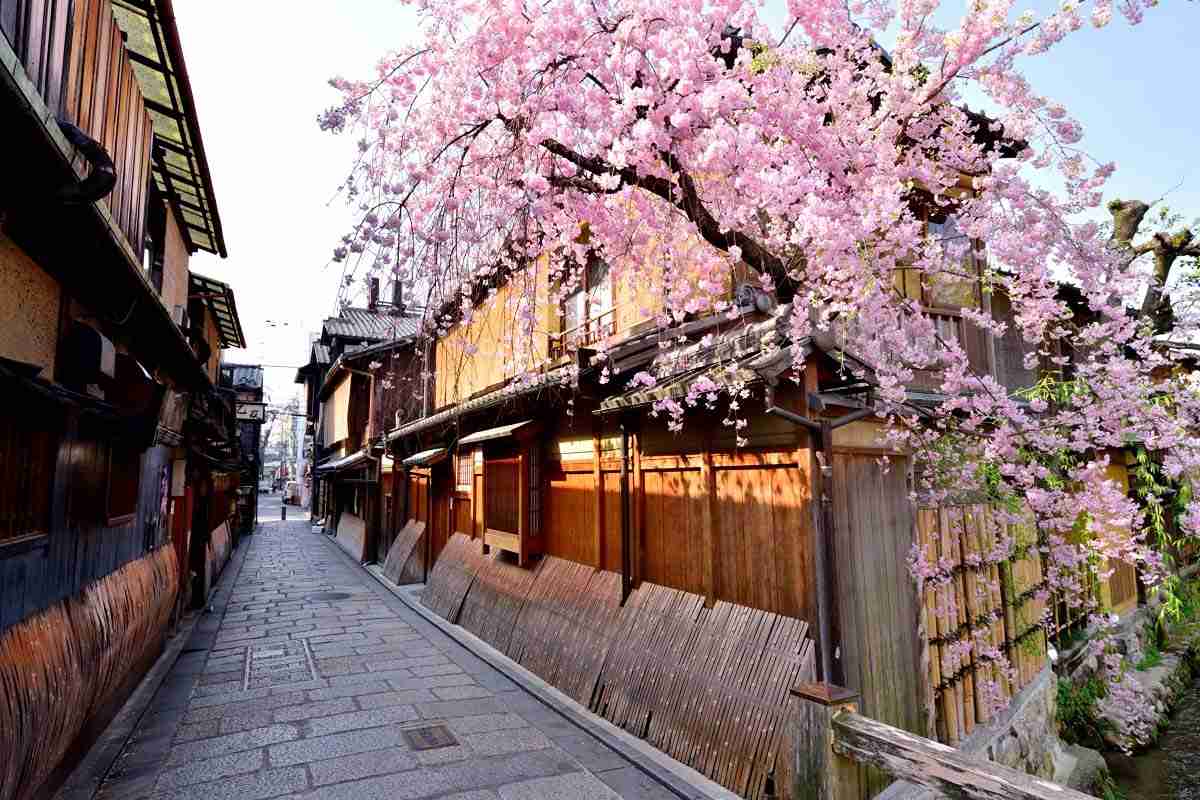 کیوتو در بهار