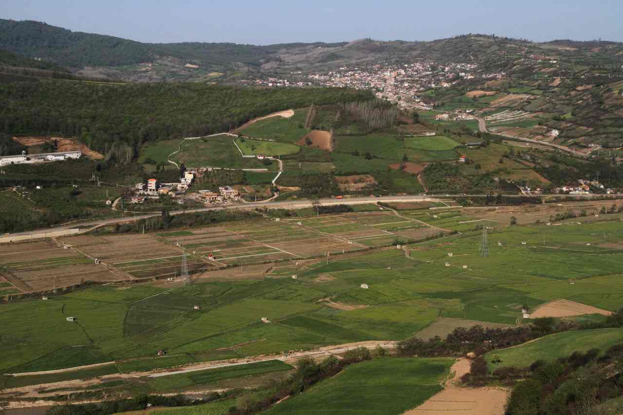 جنگل توسکستان گرگان