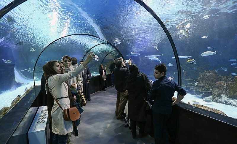 آکواریوم بندر انزلی