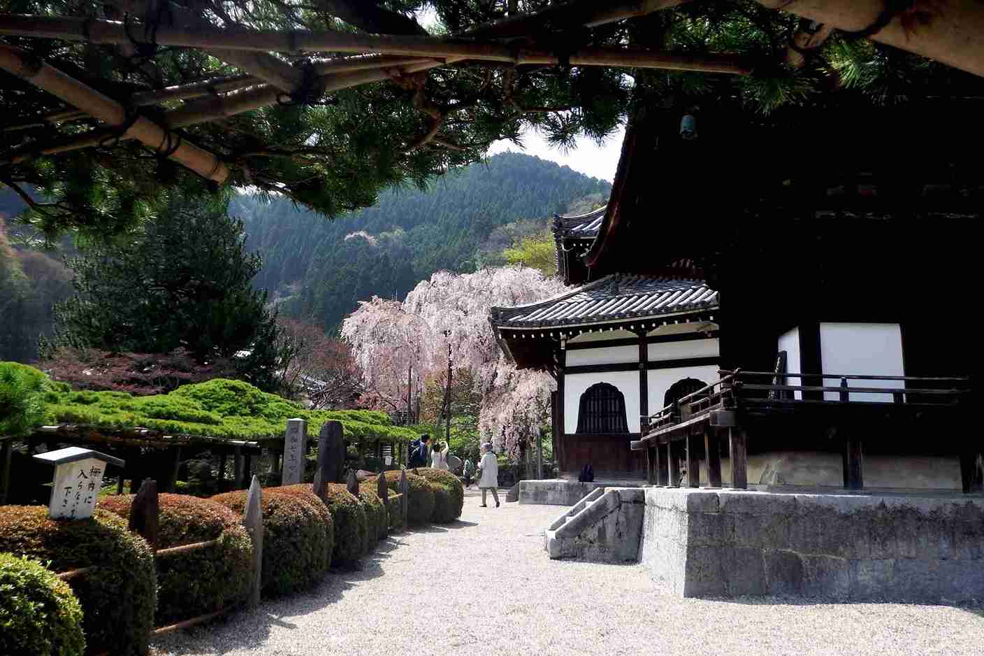 کیوتو در بهار