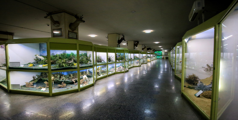 موزه تاریخ طبیعی همدان