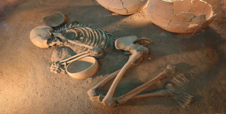 موزه های همدان