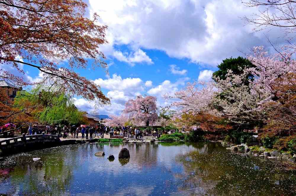 کیوتو در بهار