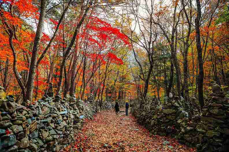 بوسان در پاییز