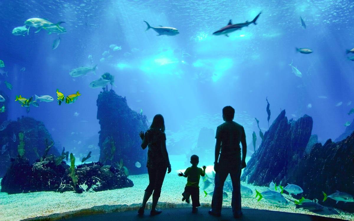 بوسان در زمستان