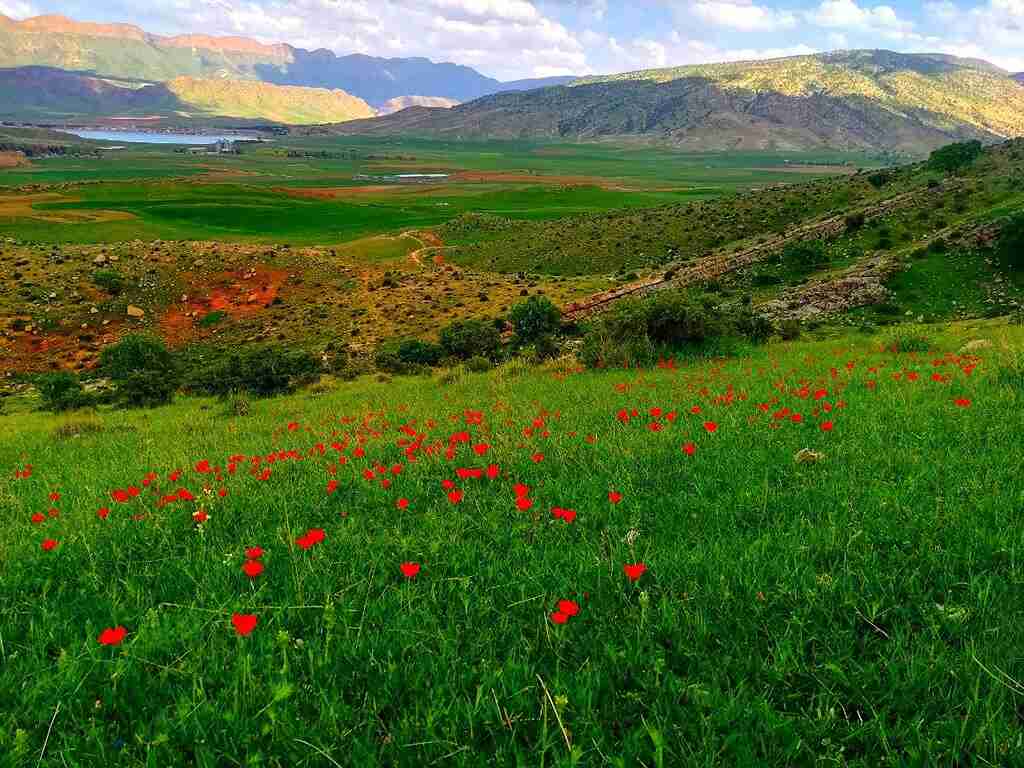 راهنمای سفر به کرمانشاه؛ بهترین زمان سفر