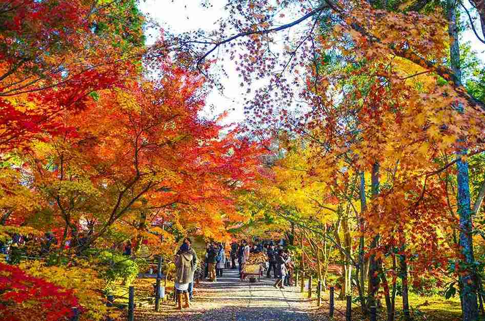 کیوتو در پاییز