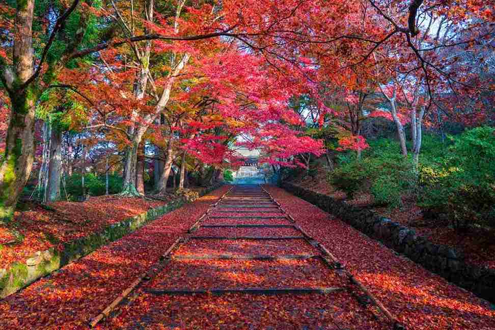 کیوتو در پاییز