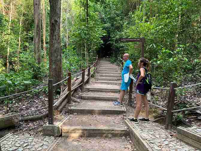 پیاده روی در سنگاپور؛ Bukit Timah