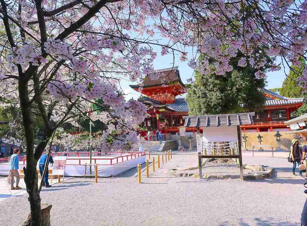 کیوتو در بهار