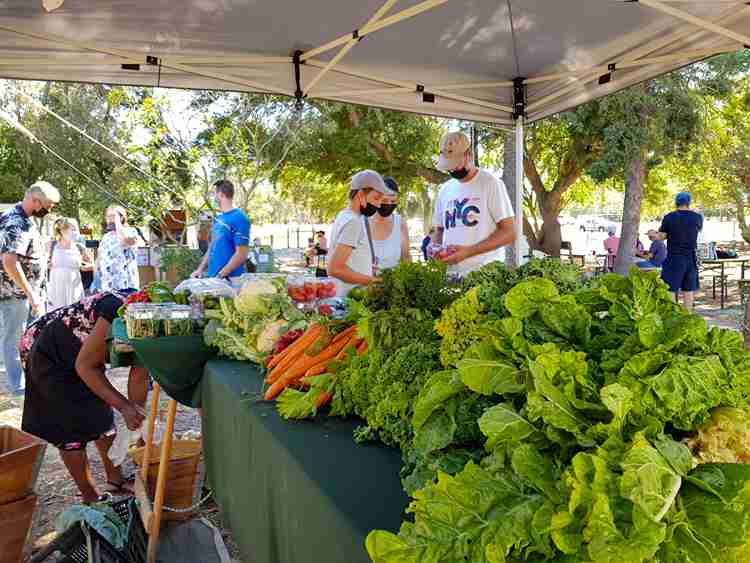 بازارهای کیپ‌ تاون