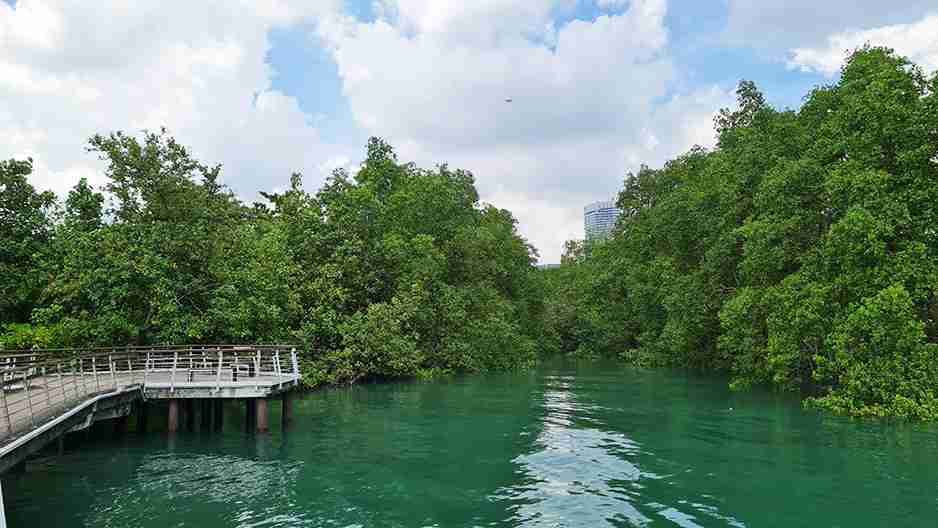 پیاده روی در سنگاپور؛ Labrador