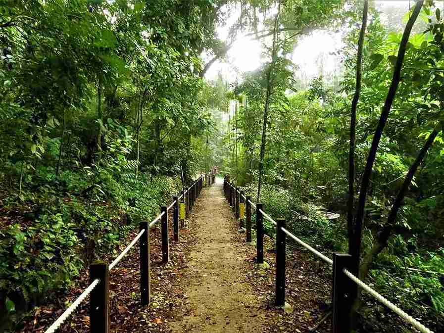 پیاده روی در سنگاپور؛ Thomson