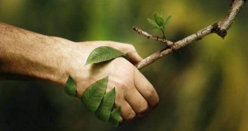 حفظ محيط زيست در سفر؛ راهکارهایی برای گردشگری سبز