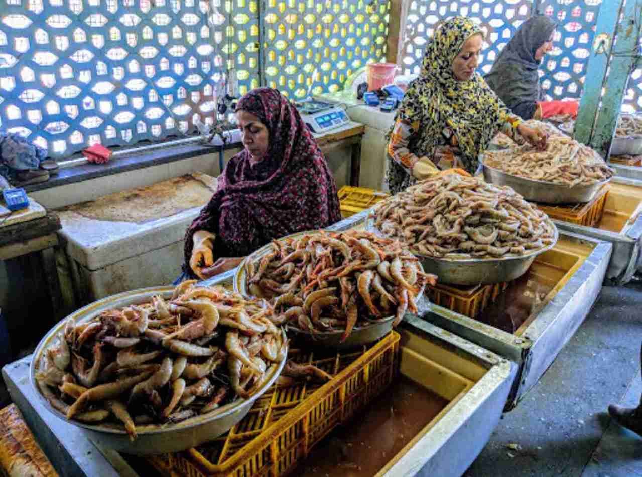 سفر به بندرعباس در زمستان و بازار ماهی فروشان