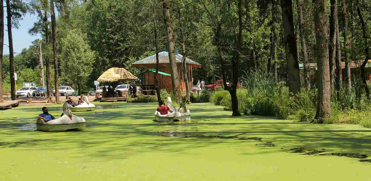 دریاچه سراوان رشت؛ از جاذبههای دوستداشتنی شهر باران