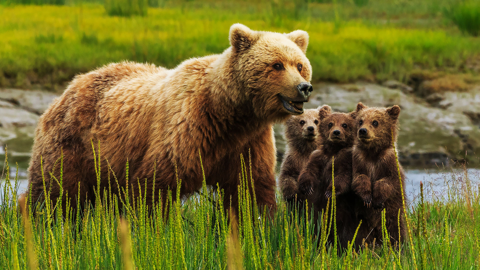 پارک های ملی در روسیه