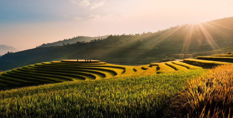 ویتنام در پاییز