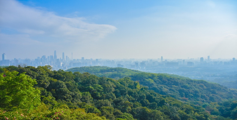 بازدید از گوانجو بر اساس فصل