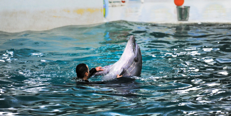 ساعات کاری پارک