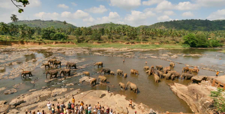کارهایی که باید انجام دهید