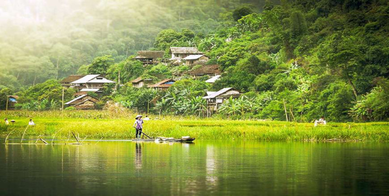 ویتنام در تابستان