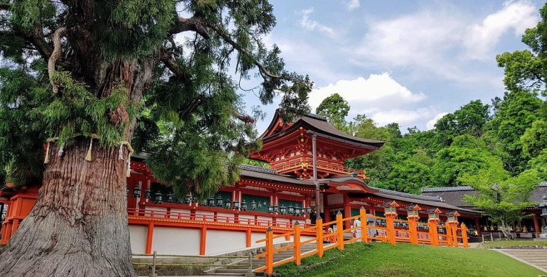 نارا در تابستان