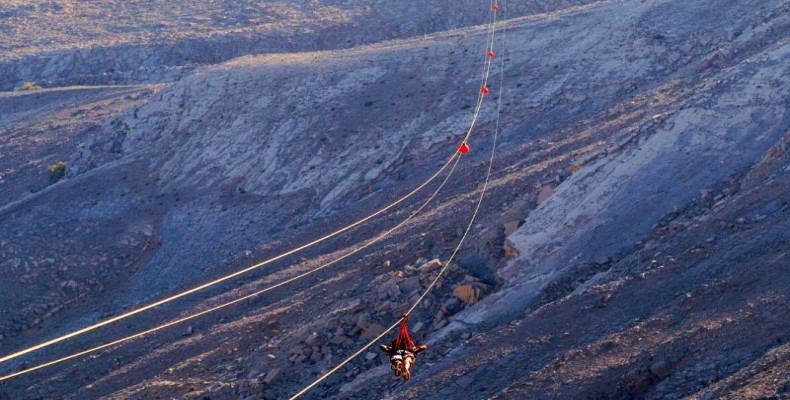 زیپ لاین هیجان انگیز Jebel Jais 