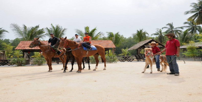 سفرهای خانوادگی