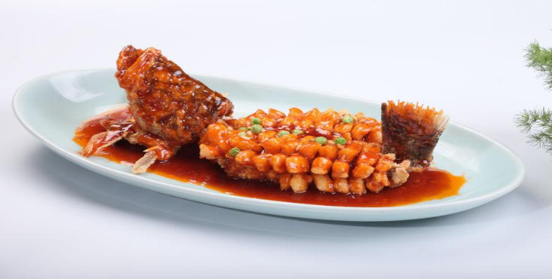 ماهی ماندارین سنجابی شکل