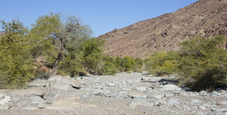 وادی هیلو دبی