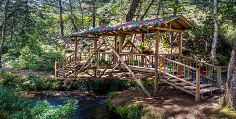 جاهای رمانتیک مدلین