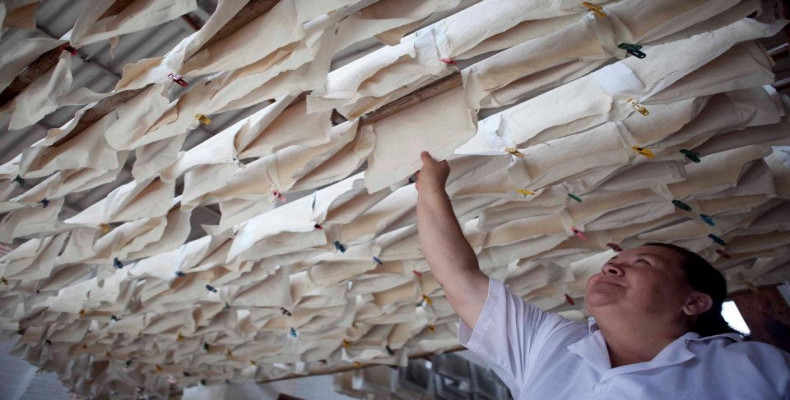 کاغذهای دست‌ساز؛ بهترین سوغاتی های بوگوتا