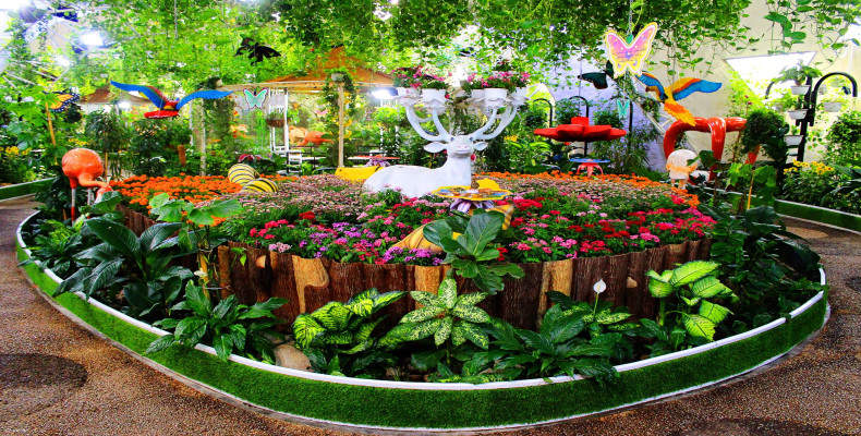 باغ پروانه های دبی