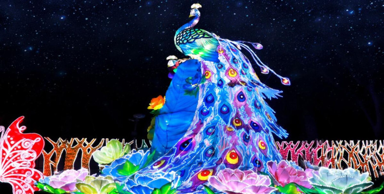 درخشش باغ دبی