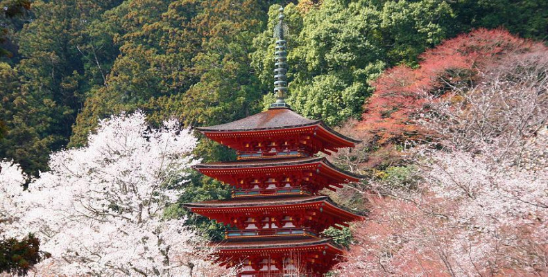 معبد Hasedera در شهر نارا 