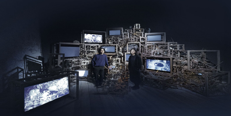 نمایشگاه Seeing Forest 