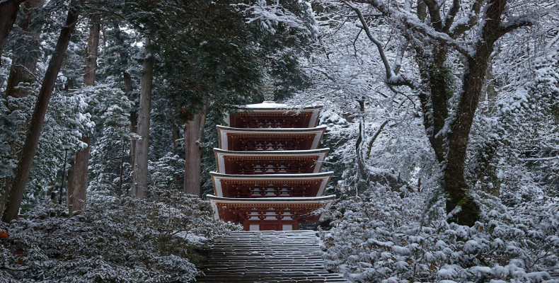 نارا در زمستان ؛ طبیعت و فرهنگ ژاپن در فصل سفید