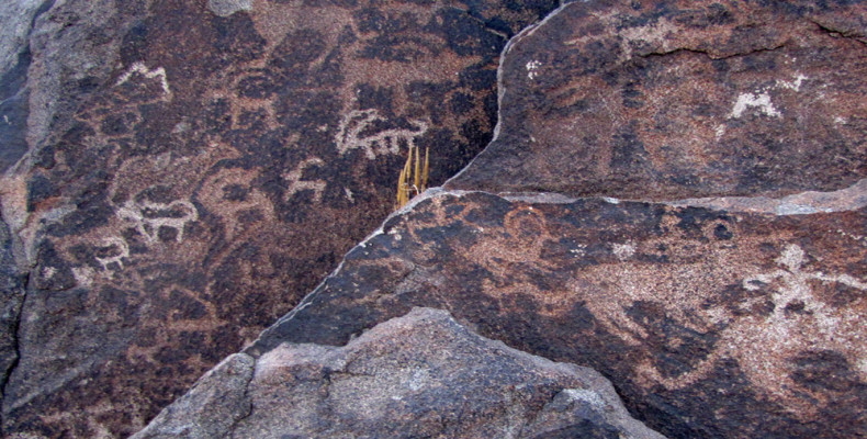 سنگ‌ نگاره باستانی شتر سنگ مشهد