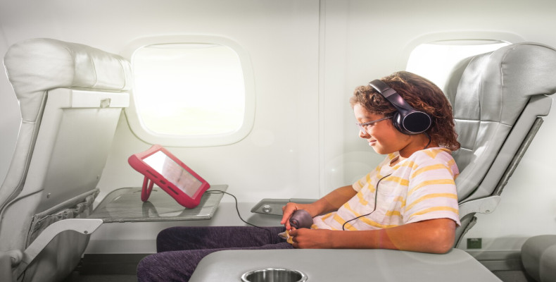 سفر هوایی حرفه ای