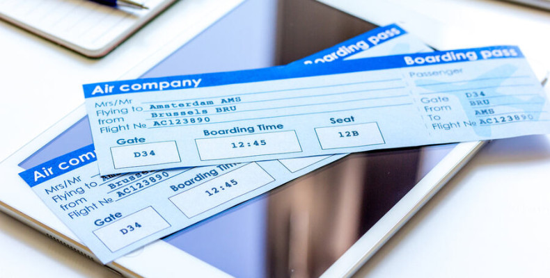 سفر هوایی حرفه ای